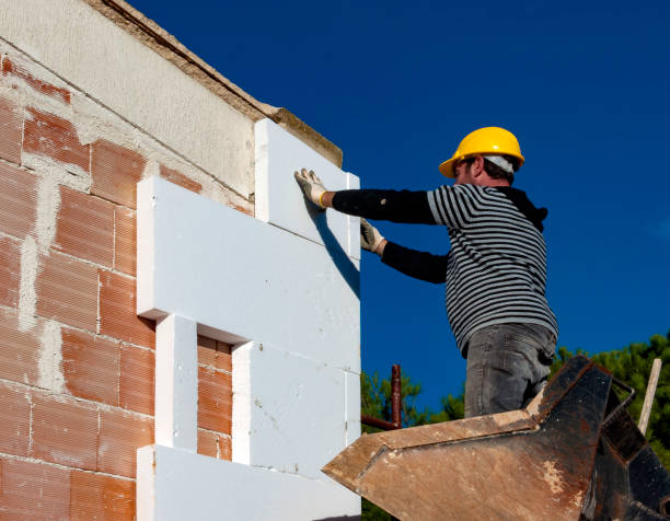 Best Insulation Maintenance and Repair in Denison, IA