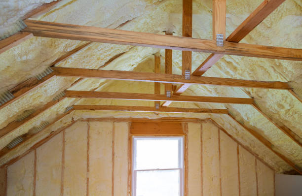 Best DIY Insulation Kits and Guidance in Denison, IA