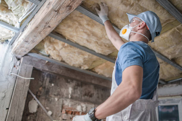 Best Blown-in Insulation in Denison, IA