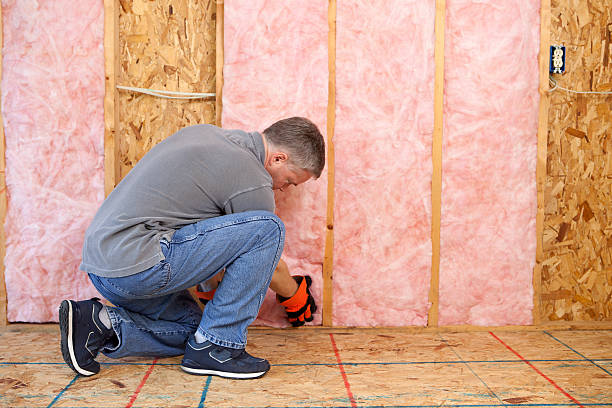 Best Cellulose Insulation in Denison, IA
